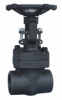 FGA-801T Gate Valve