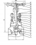 FGL-820T Globe Valve